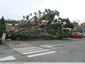 Dégat de tempête