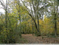 Bois de Lagarde en automne
